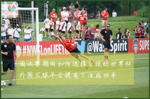 淘汰赛期间如何选择合适的世界杯外围买球平台提高下注成功率