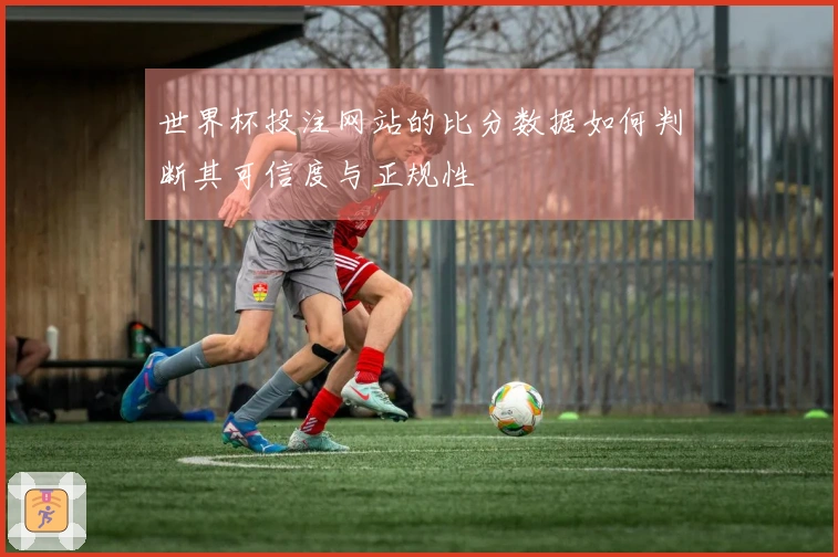 世界杯投注网站的比分数据如何判断其可信度与正规性
