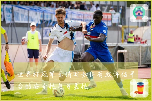 世界杯冠军竞猜时如何有效评估平台的安全性与可靠性
